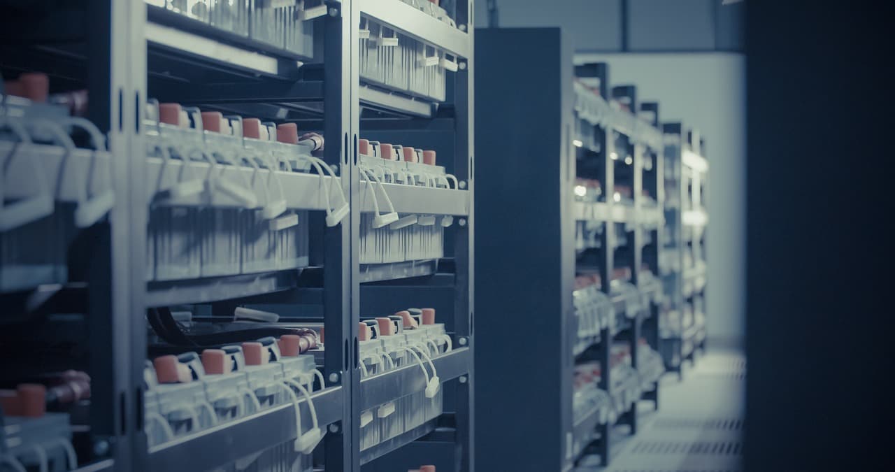 Rows of servers in a data centre lit in blue